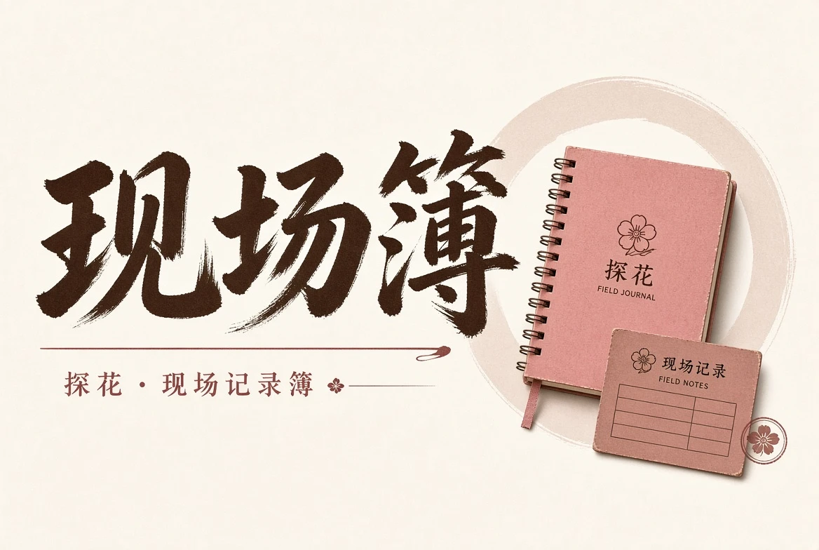 现场内容整理